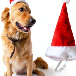 Santa Hat Dog Costume by Wiz BBQT Large 3D Plush Santa Hat for Dogs-0